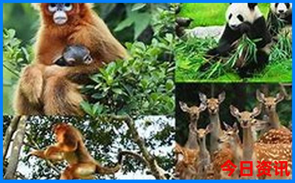 麦积山附近还有什么旅游景点